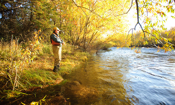 Orillas del Quilquihue